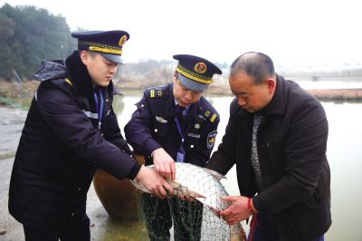 湖南长沙县将开展为期一个月的水产品质量安全检查